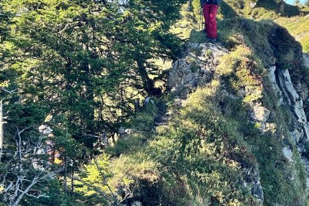 IMG-20260913-WA0011_Grat.jpg